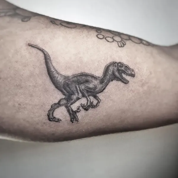 Dragon, 악어, 도마뱀