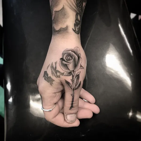 Flower, Rose