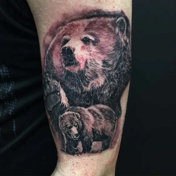 곰, Animal