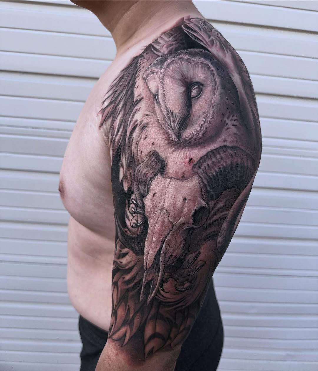 alexisvaateteart