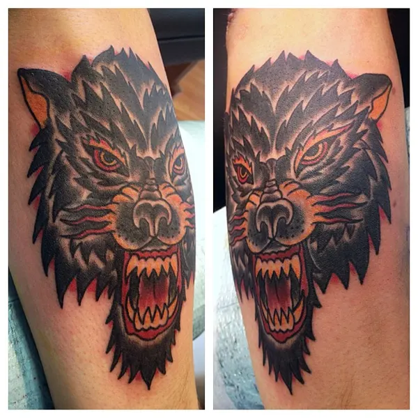 Tiger, Animal