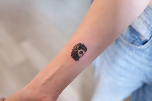 Animal, 강아지, 나무늘보, 반려동물, 반려동물 추모