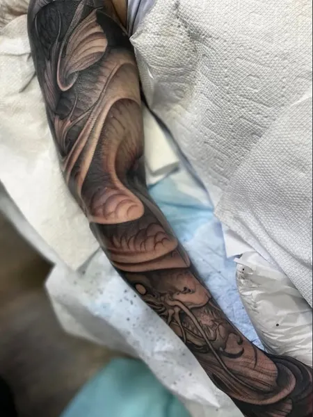 Dragon, Animal
