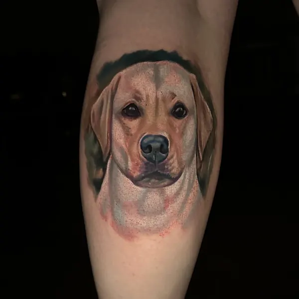 Animal