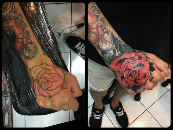 Flower, Rose