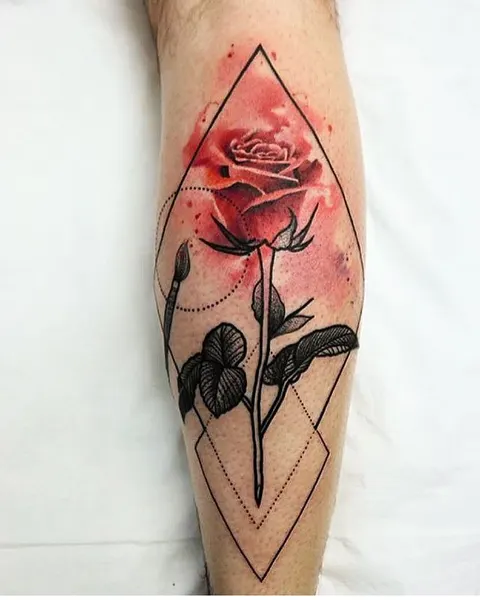 Flower, Rose