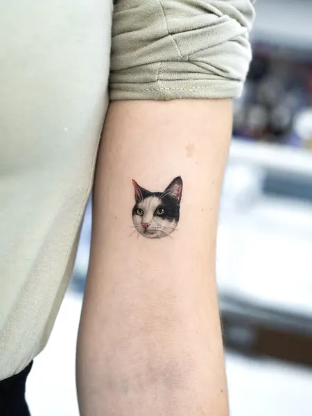 고양이, 함사, 여우 가면