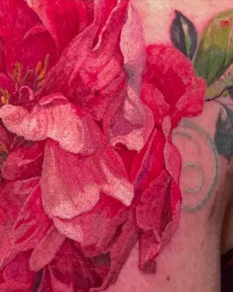Flower, Rose
