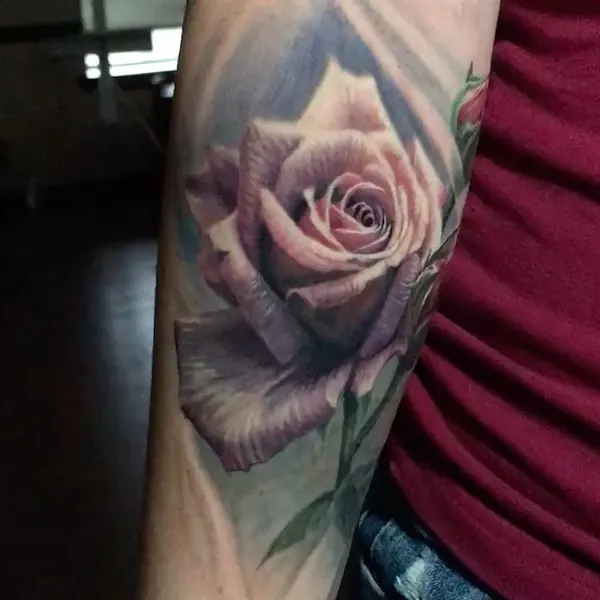 Flower, Rose