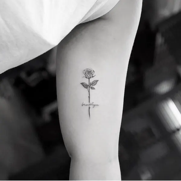 Flower, Rose