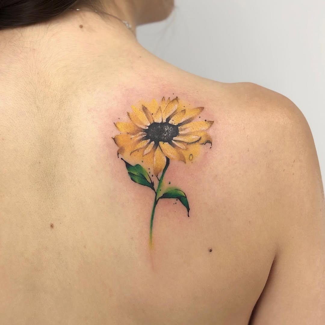 Flower, Nature, 해바라기