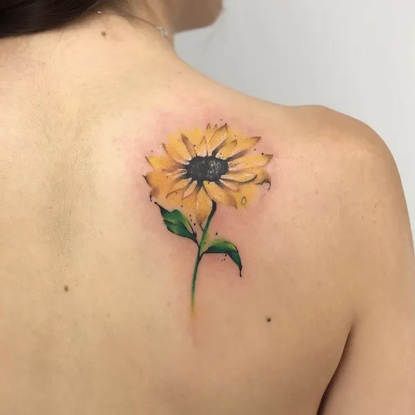 Flower, Nature, 해바라기