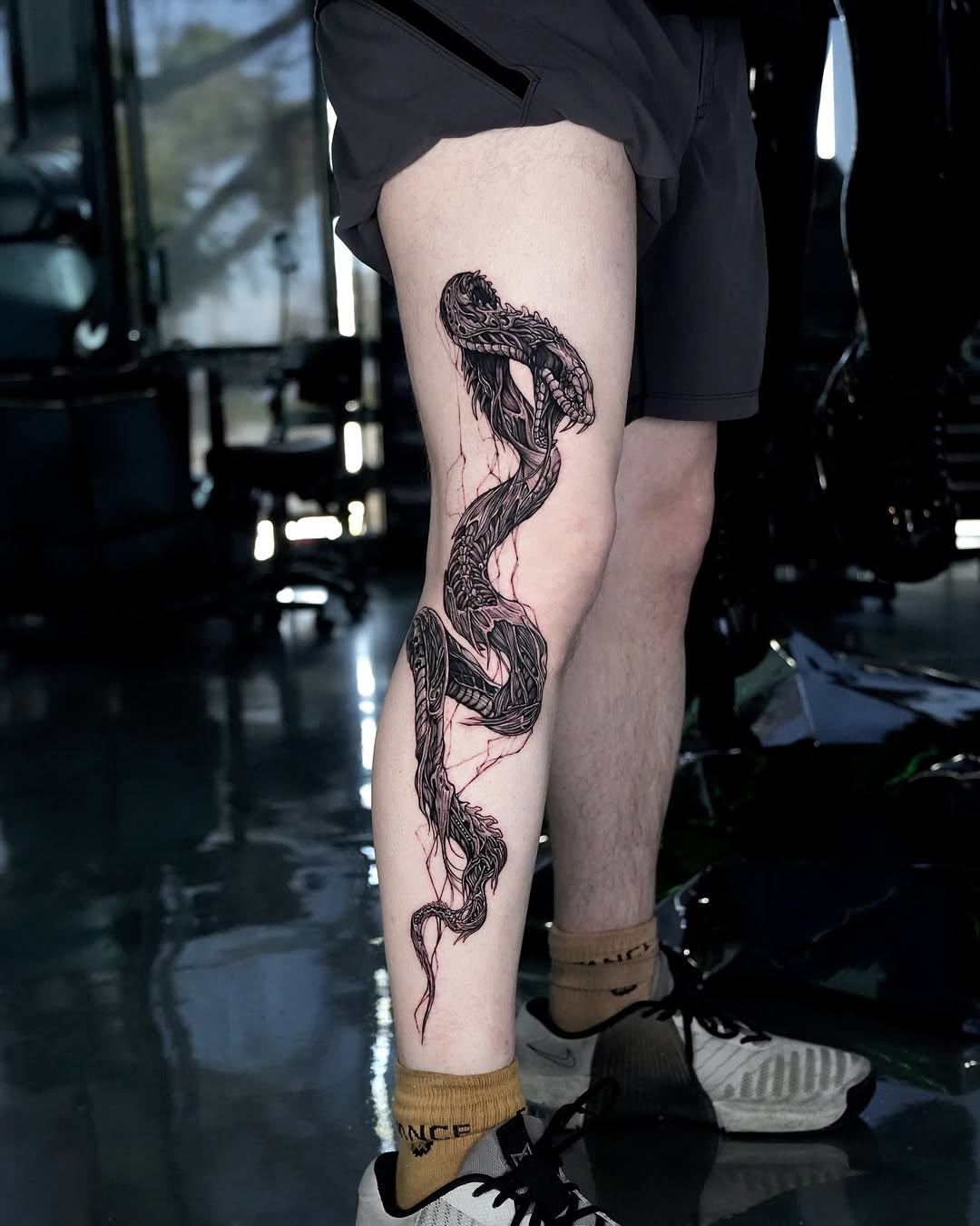 Dragon