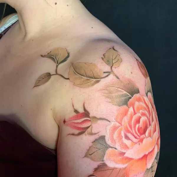 Flower, Rose, Nature