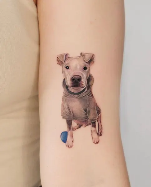 Animal