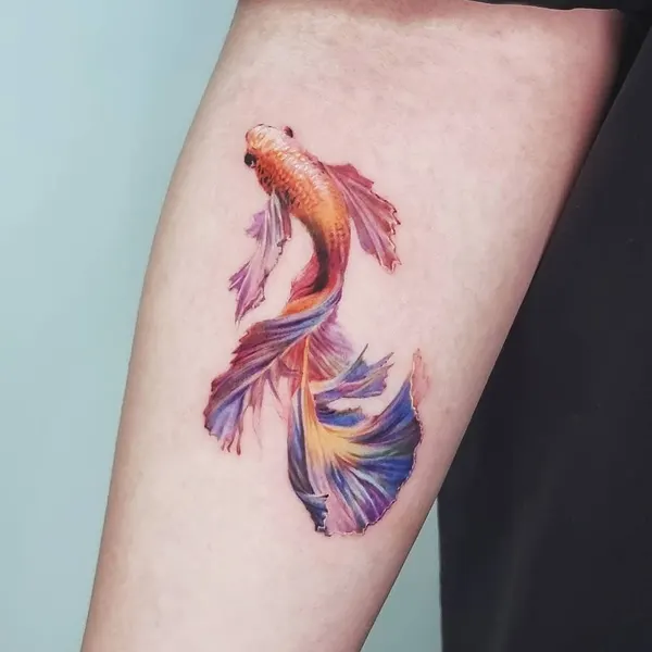 Animal, 잉어