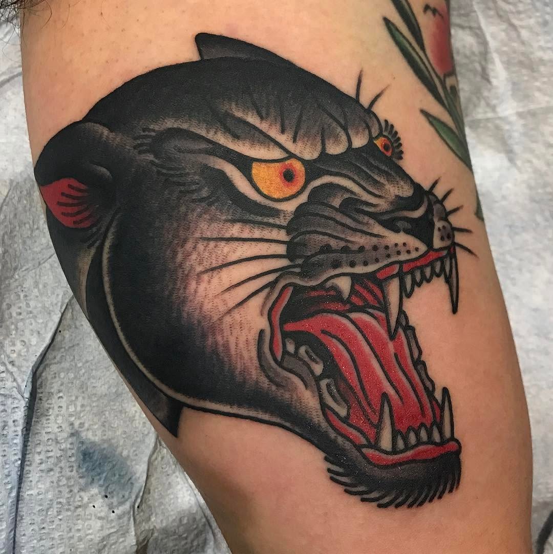 Animal, Tiger, 팬서