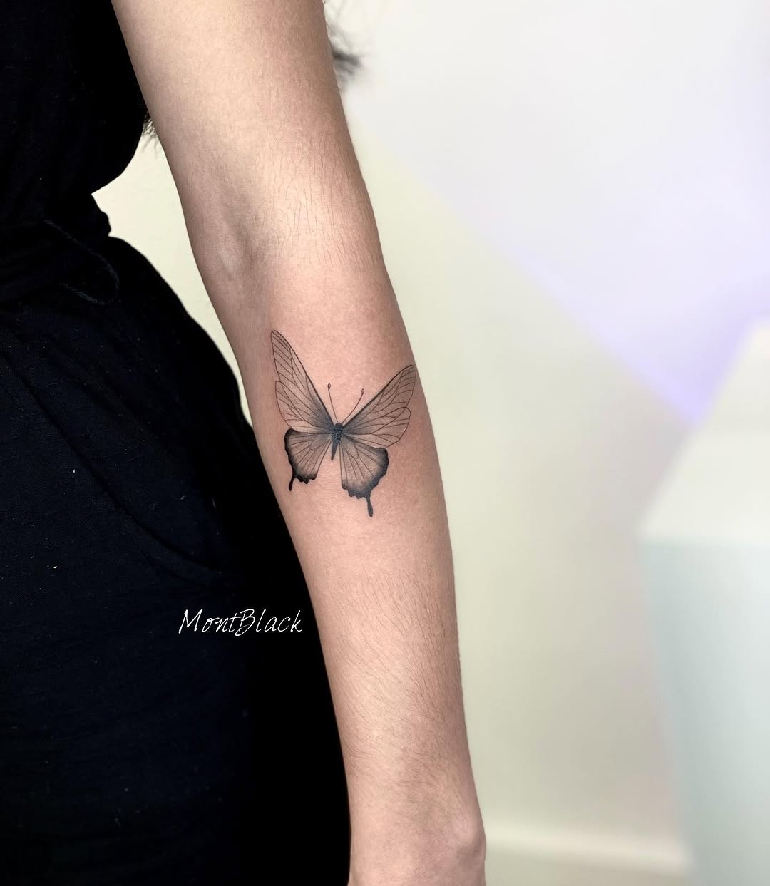 Nature, Animal, 민화