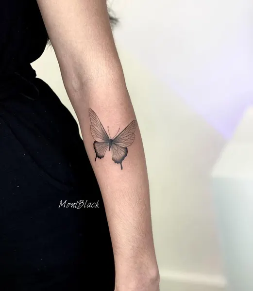 Nature, Animal, 민화
