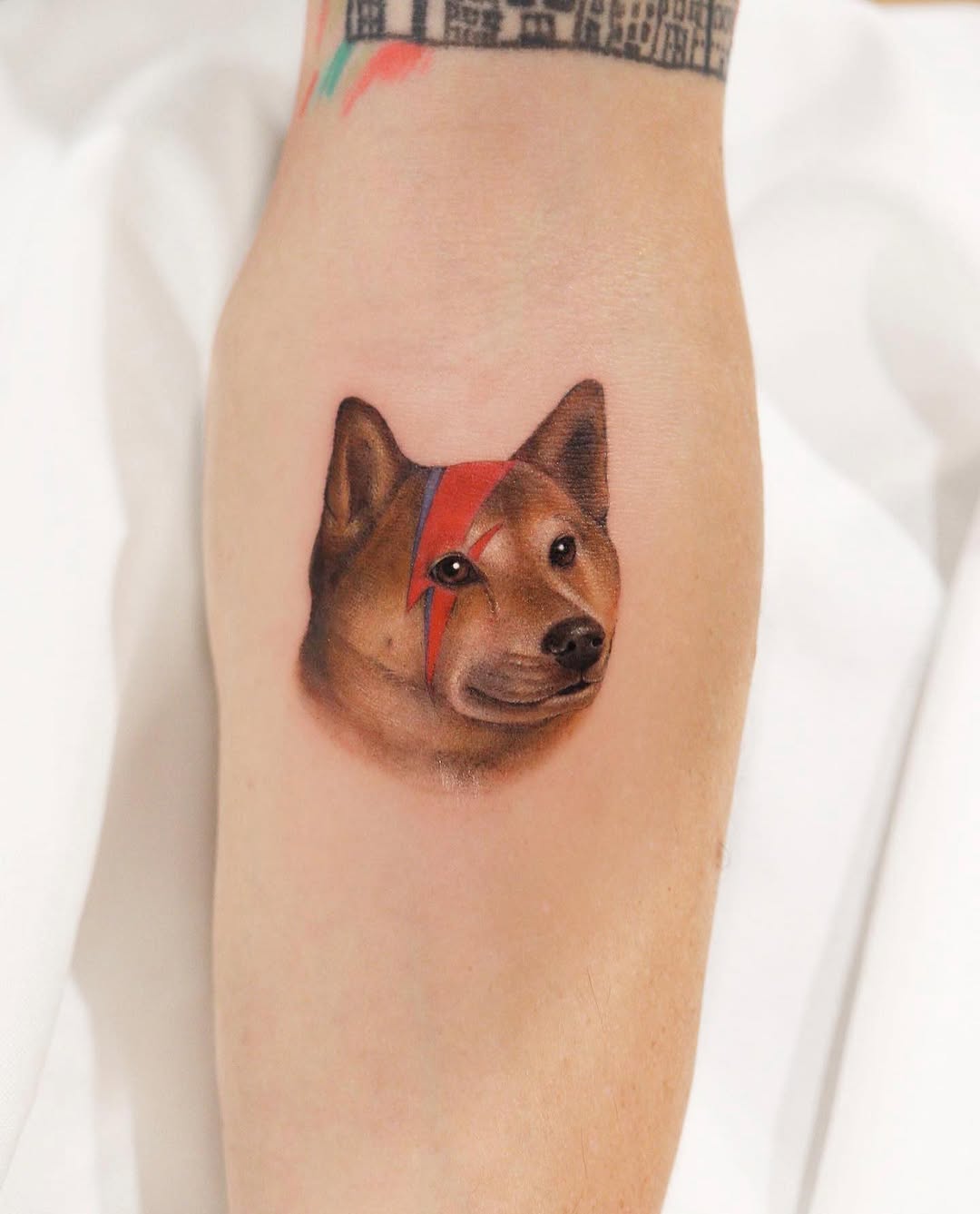 여우