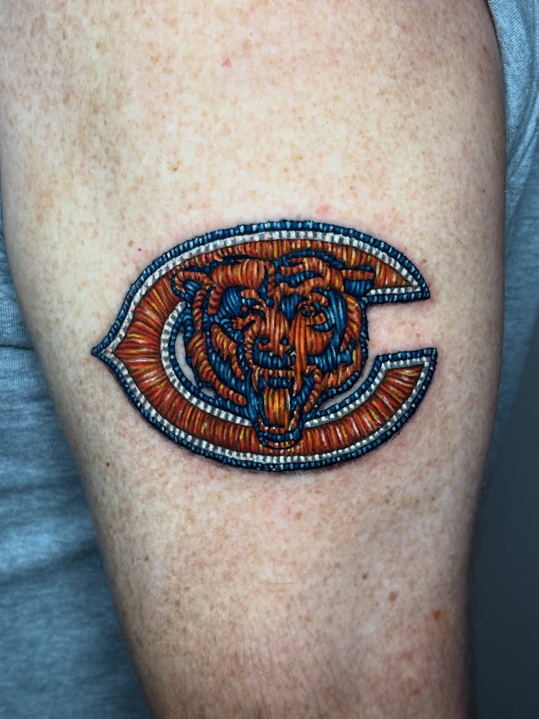 Tiger, Animal