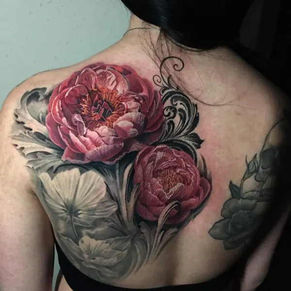 Flower, Rose, Nature