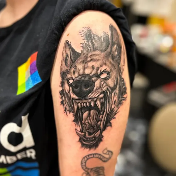 Tiger, Animal