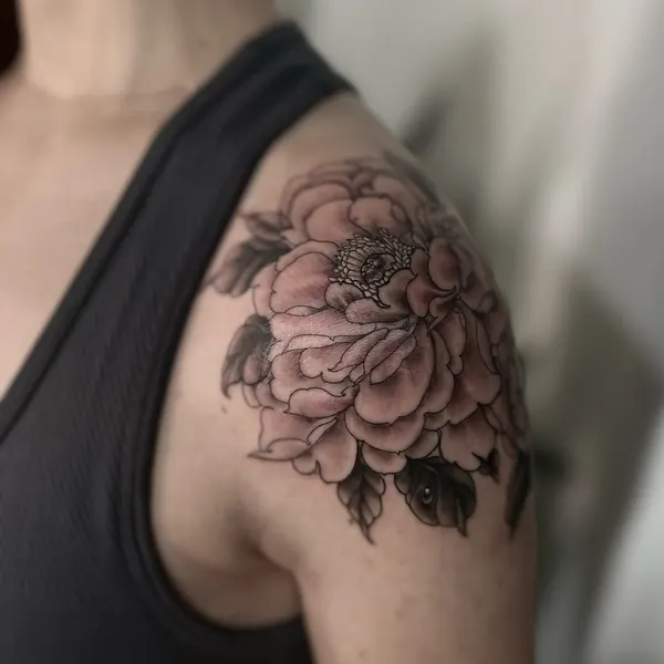 Flower, Rose