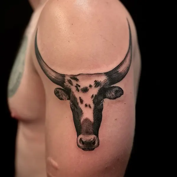 사슴, 염소, 소, 양, 황소, Animal