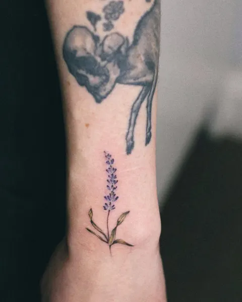 Flower, 라벤더, 허브