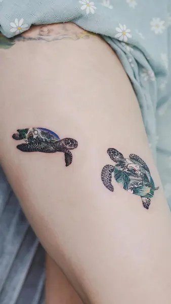 거북이, 바다거북