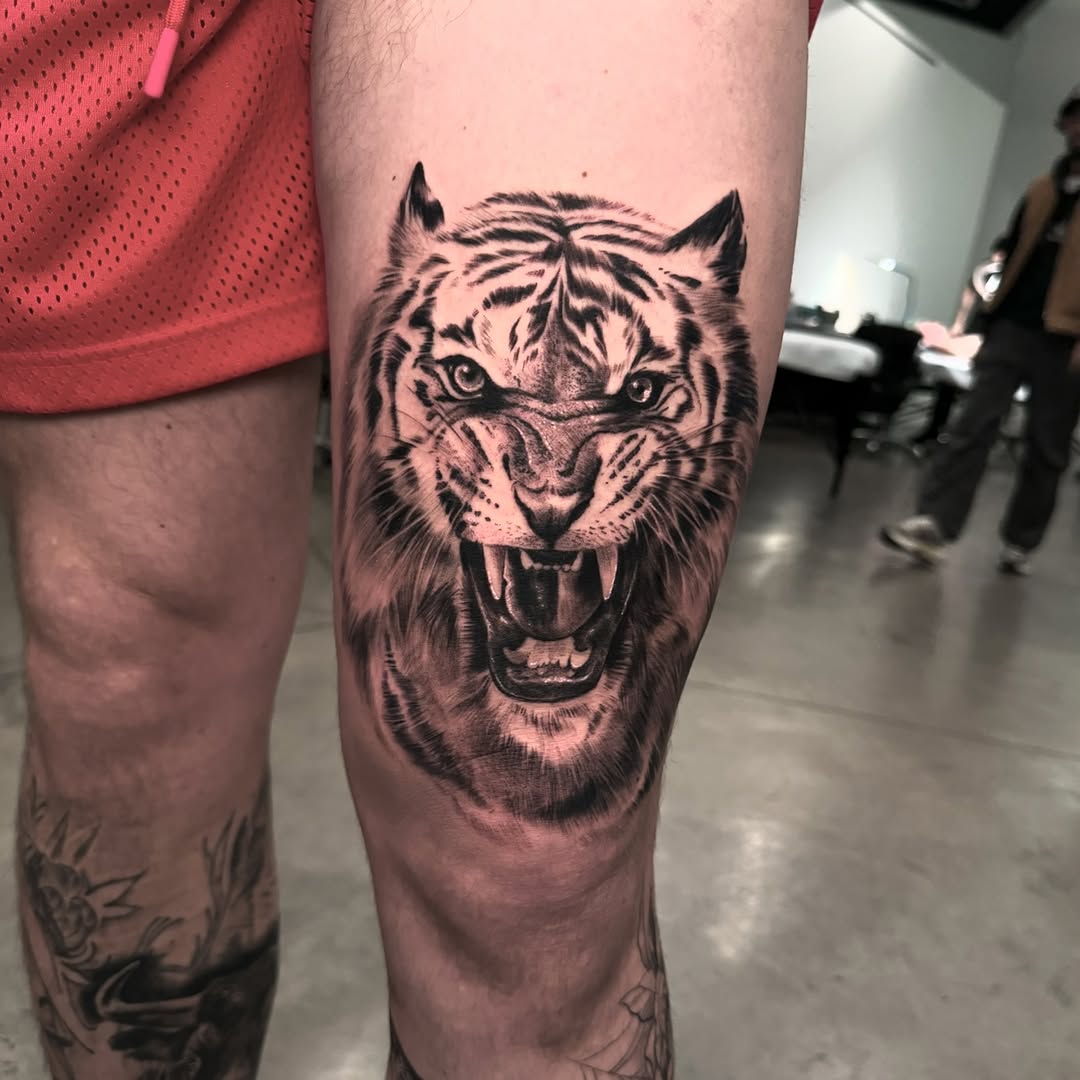 Tiger, 재규어, 사자자리, 한국 호랑이, 일본 호랑이