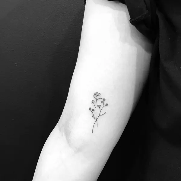 Flower, Rose, Lettering