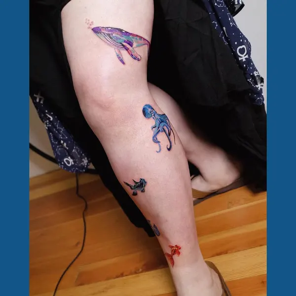 Animal, 문어, 오징어
