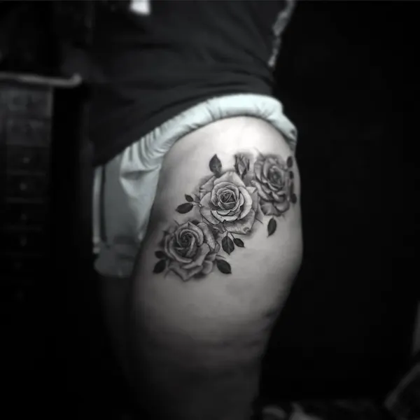 Flower, Rose, Nature