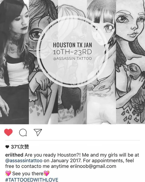 Assassin Houston