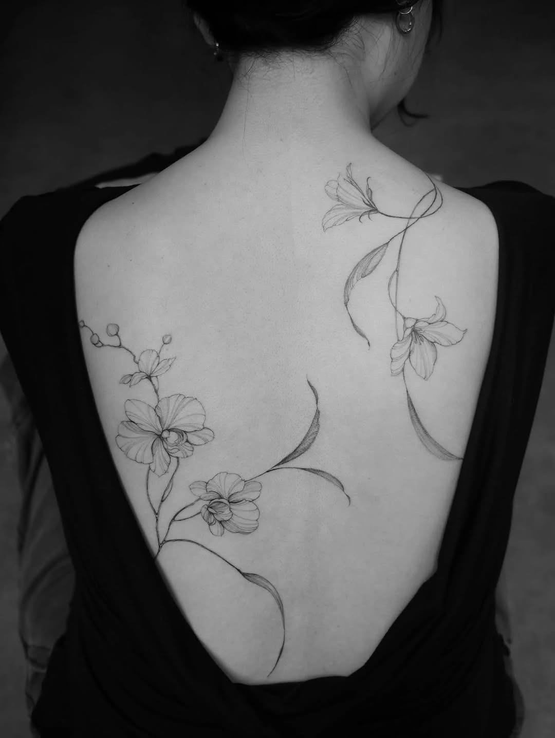 Flower, Nature