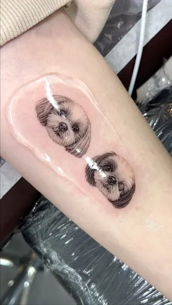 판다