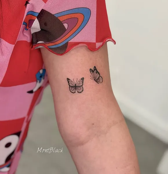 Flower, Rose, 민들레, 뿌리, 나뭇가지, Nature