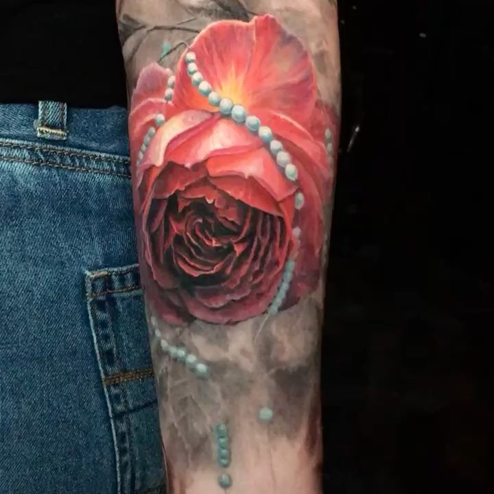 Flower, Rose, 양귀비