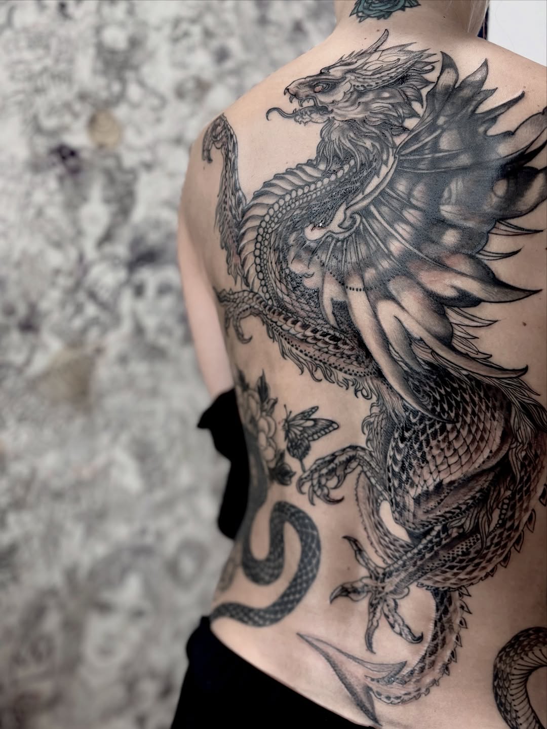 Dragon