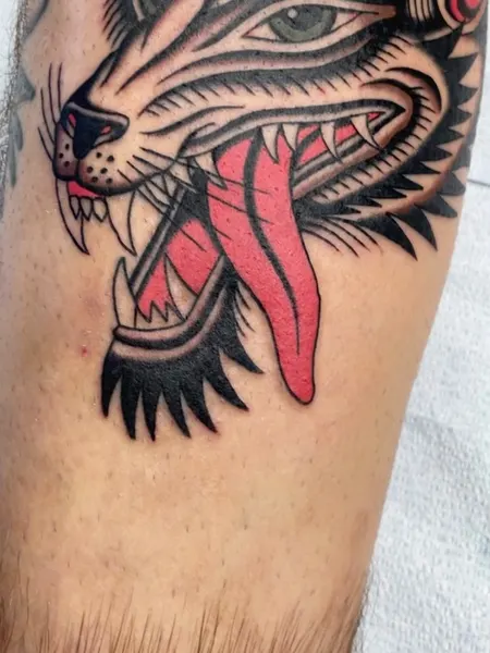 Tiger, Animal