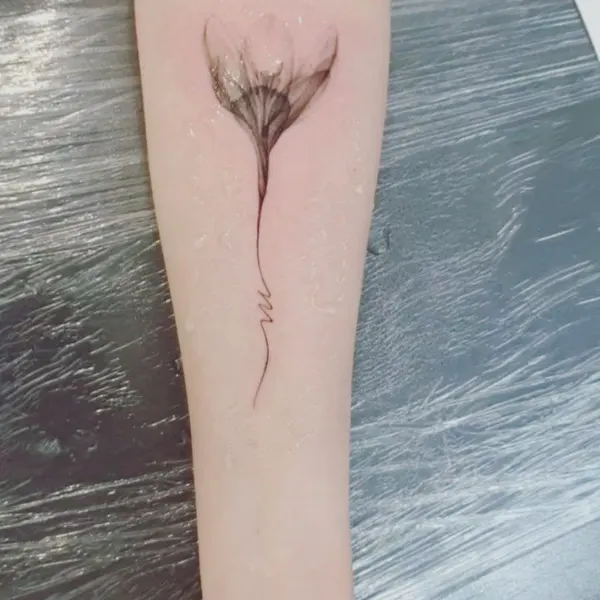 Flower, Rose, Lettering