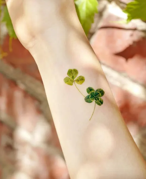 song.e.tattoo