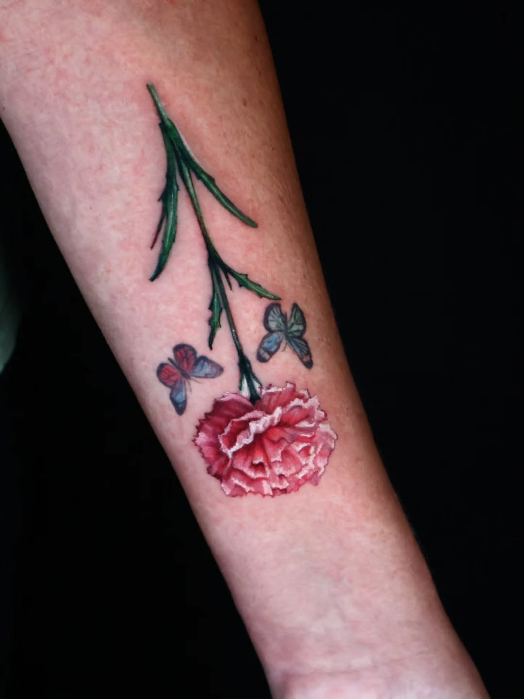 Rose, Flower