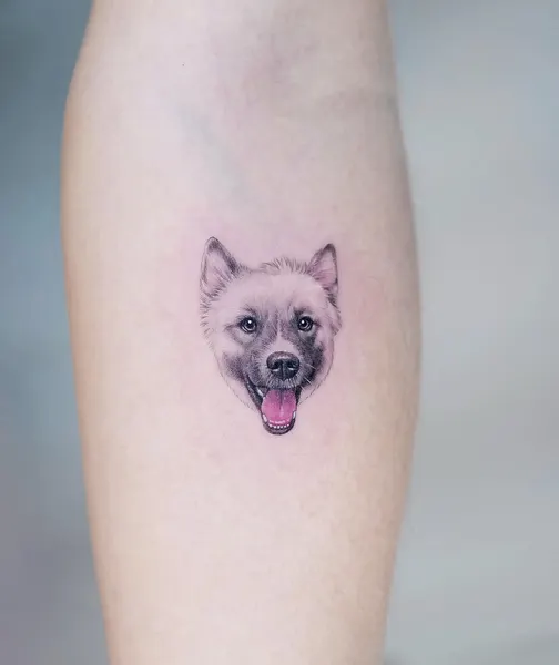 여우