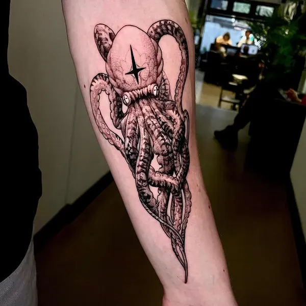 Animal