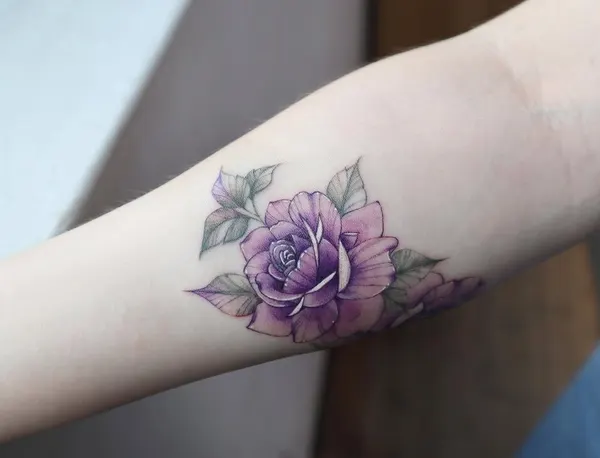 Flower, 모란, 목련, Rose