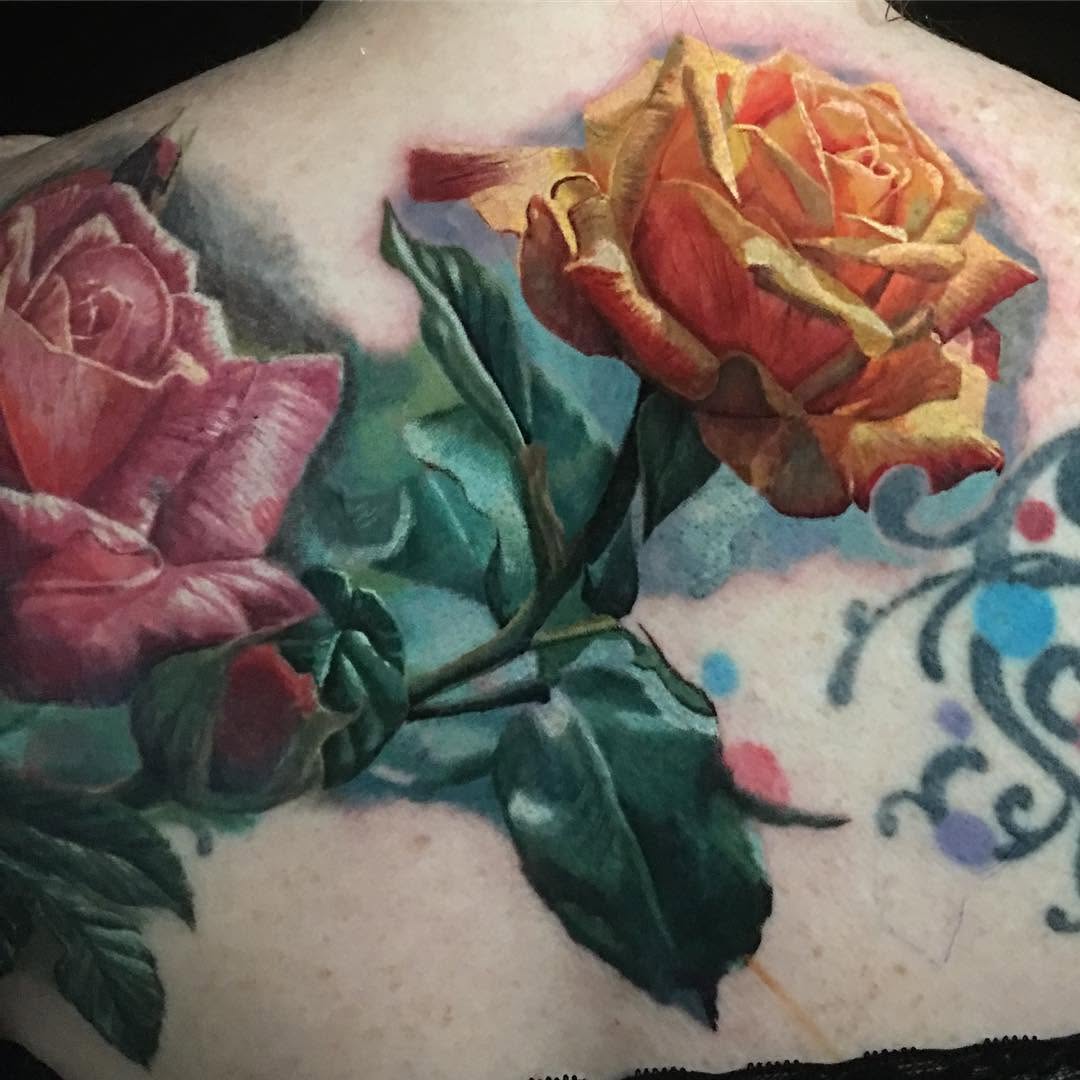 Flower, Rose, Nature