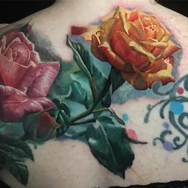 Flower, Rose, Nature